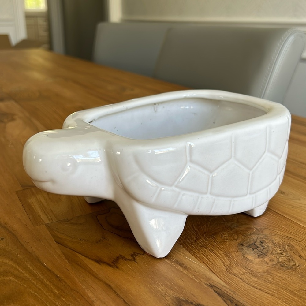 West Elm Turtle Planter
